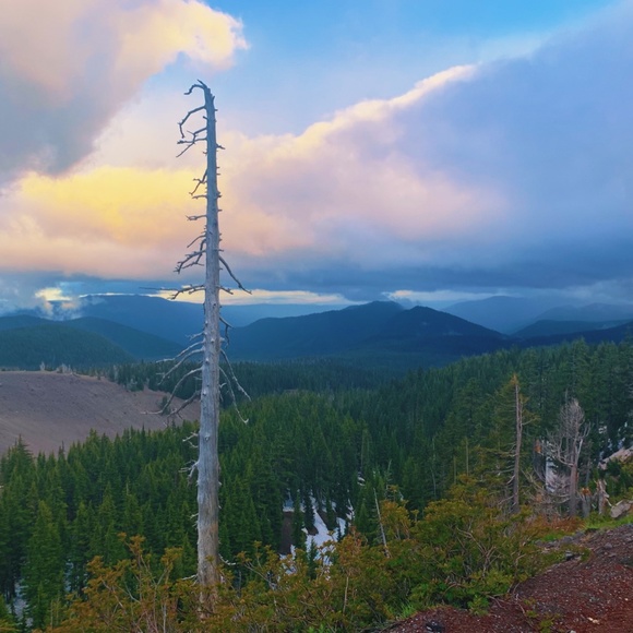 The Mt. Hood Collective Vintage Market - Picture 10 of 16